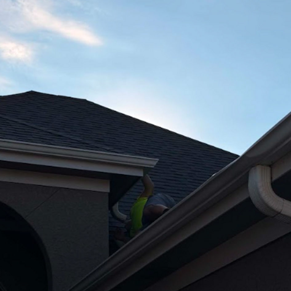 B&B Bat Removal wildlife work photo