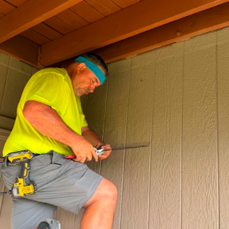 B&B Bat Removal wildlife work photo