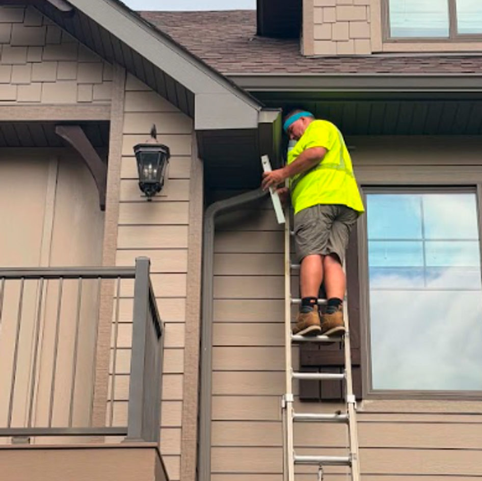 B&B Bat Removal wildlife work photo
