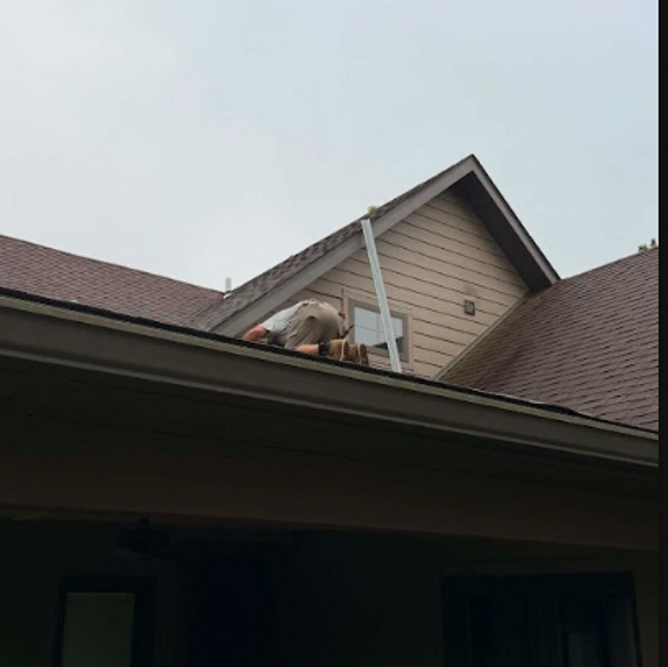 B&B Bat Removal wildlife work photo