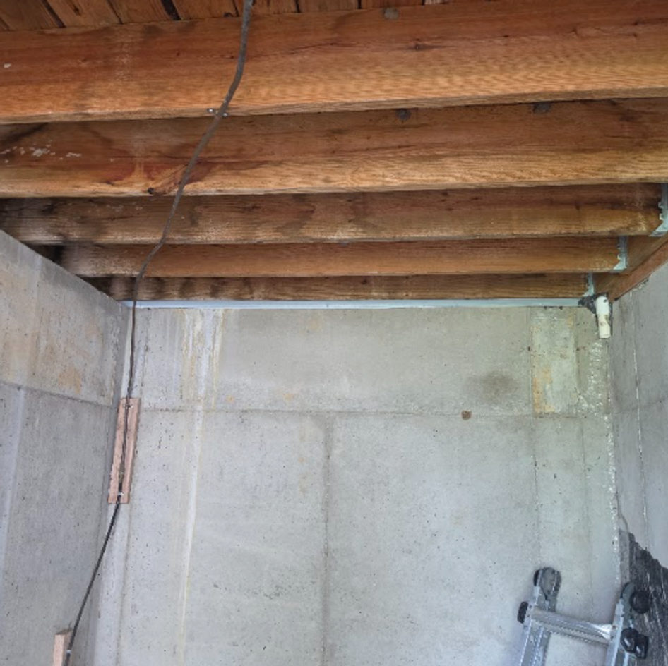 B&B Bat Removal wildlife work photo