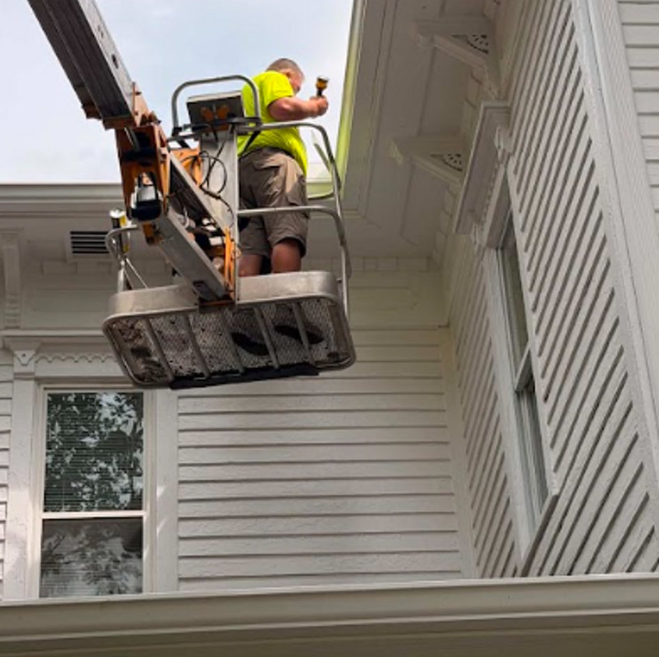 B&B Bat Removal wildlife work photo