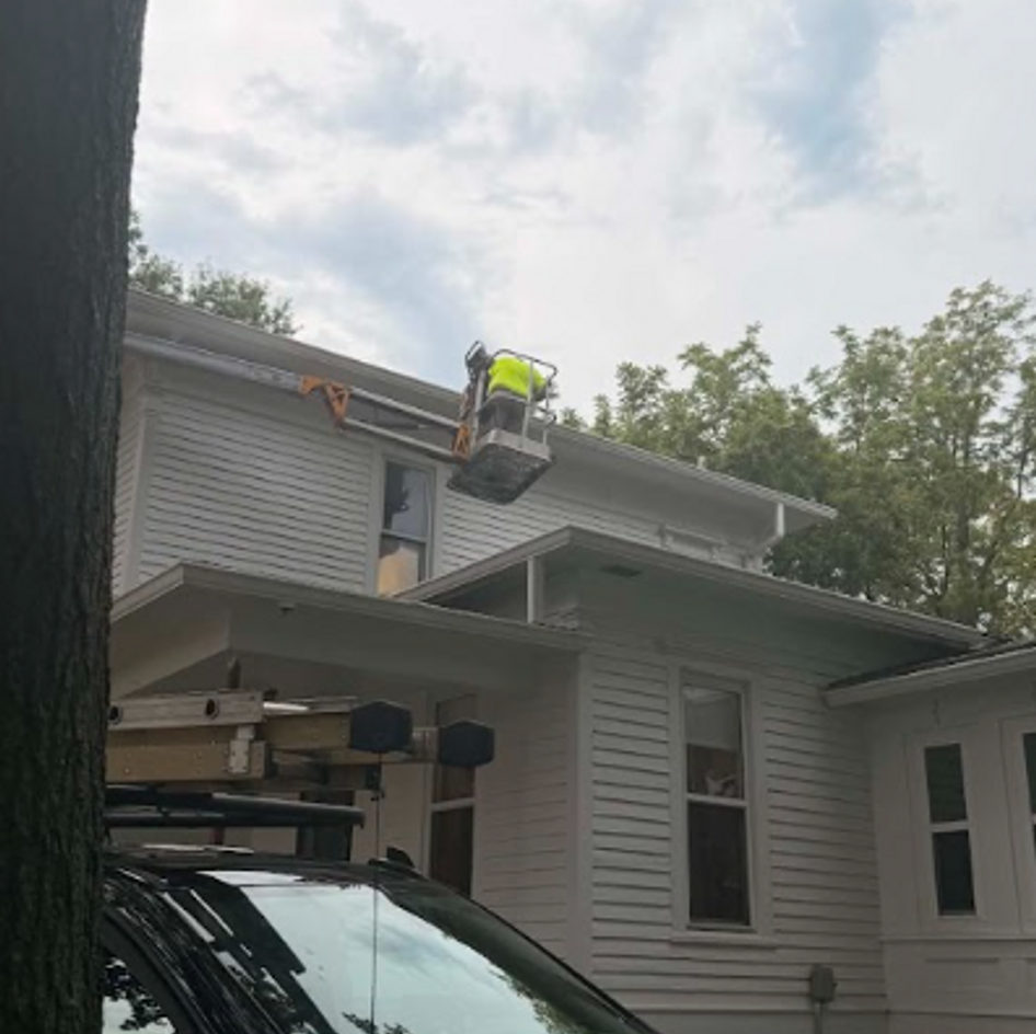 B&B Bat Removal wildlife work photo
