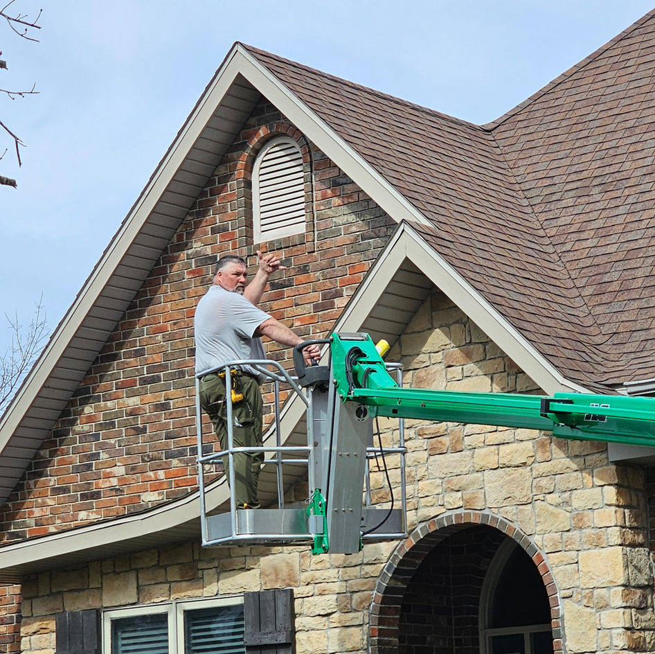 B&B Bat Removal wildlife work photo