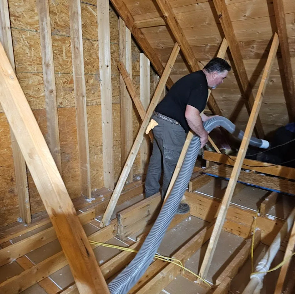 B&B Bat Removal wildlife work photo