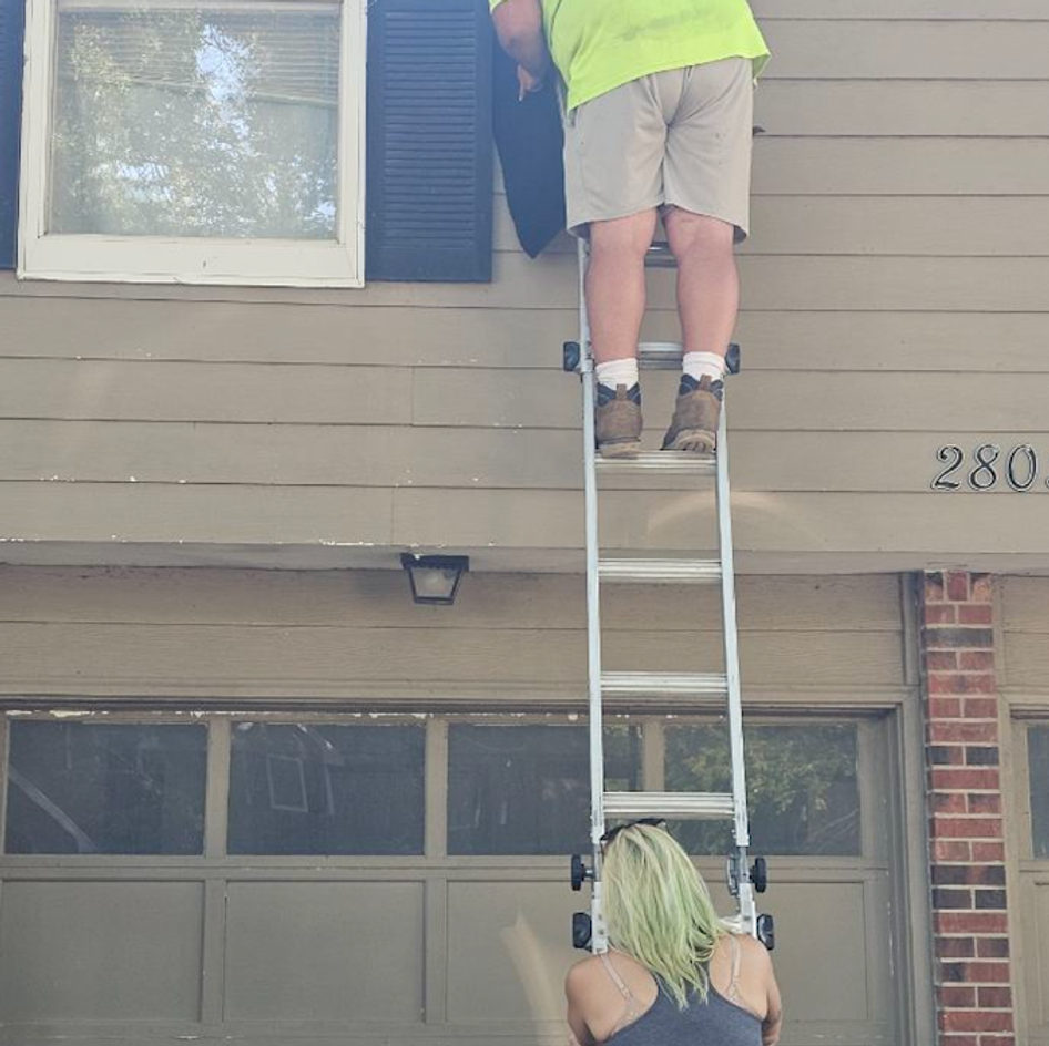 B&B Bat Removal wildlife work photo