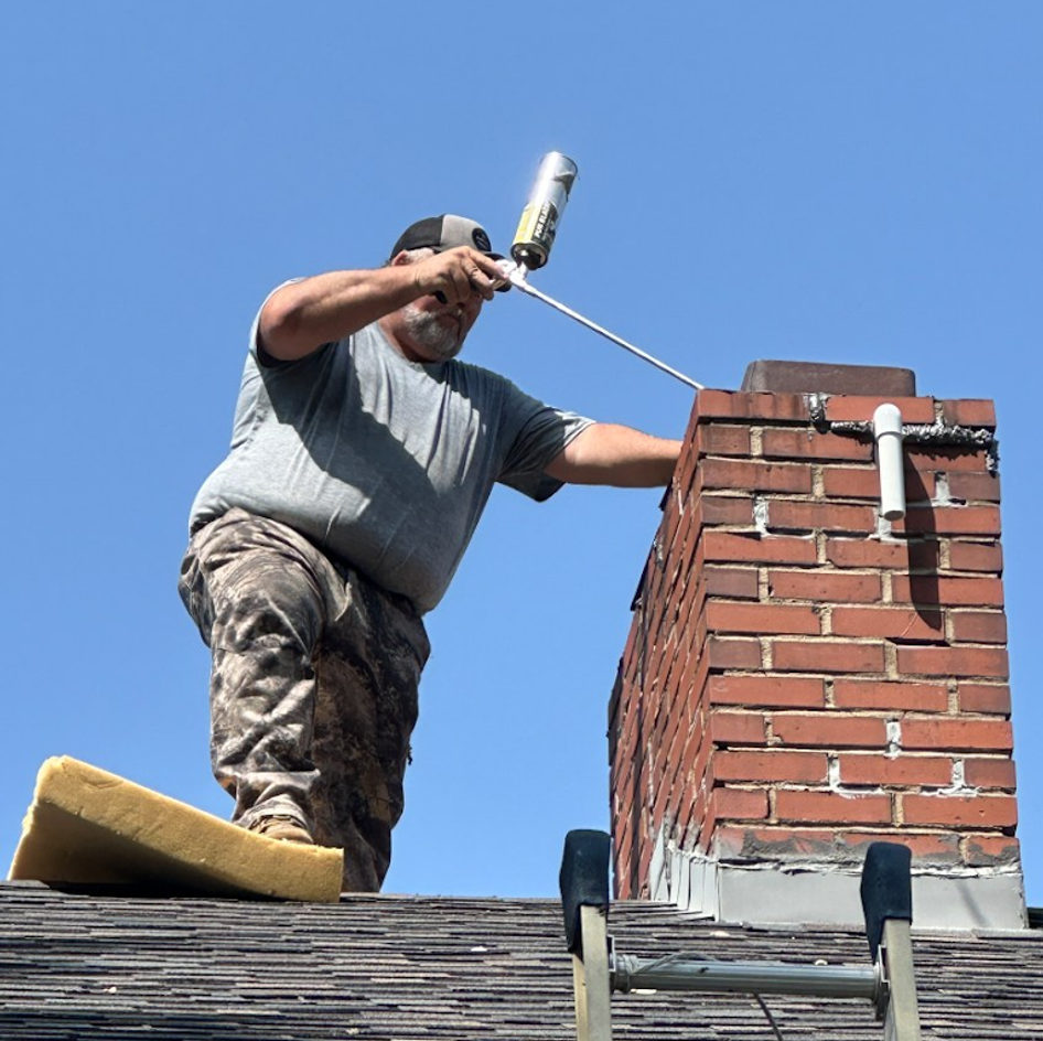 B&B Bat Removal wildlife work photo