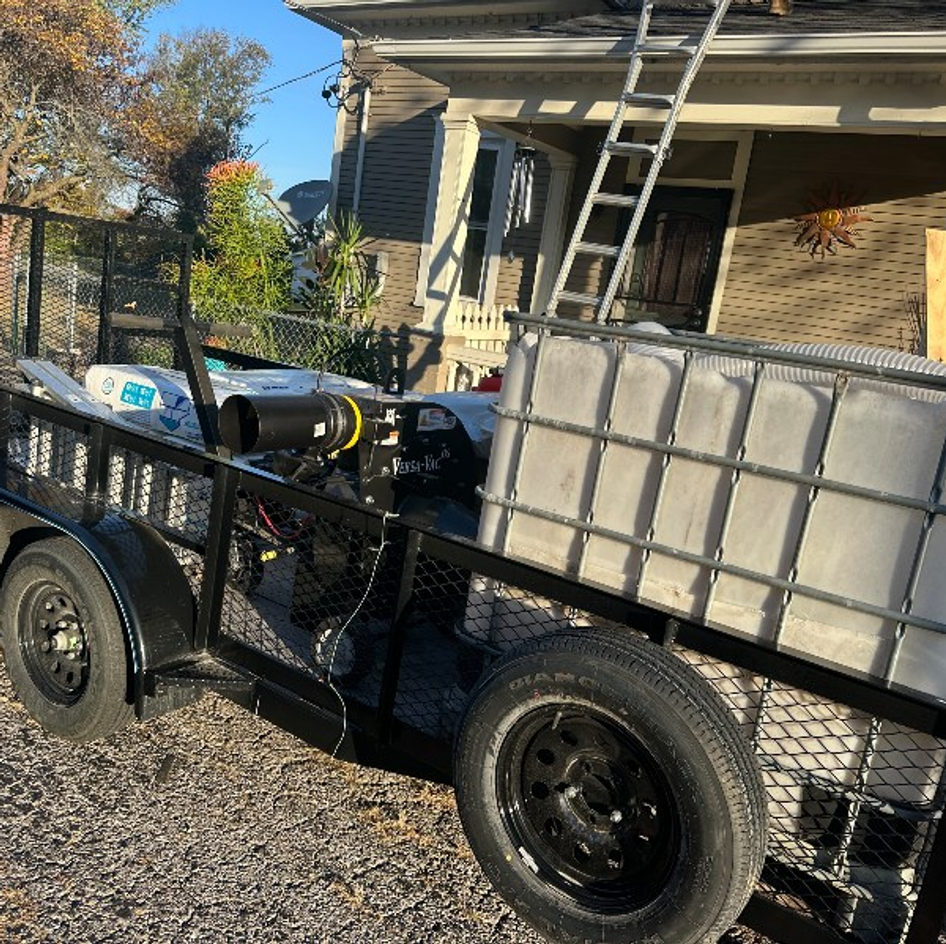B&B Bat Removal wildlife work photo
