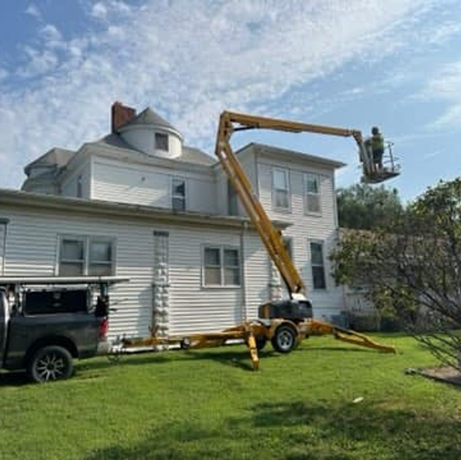 B&B Bat Removal wildlife work photo