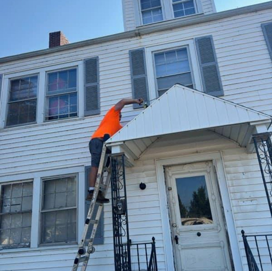 B&B Bat Removal wildlife work photo