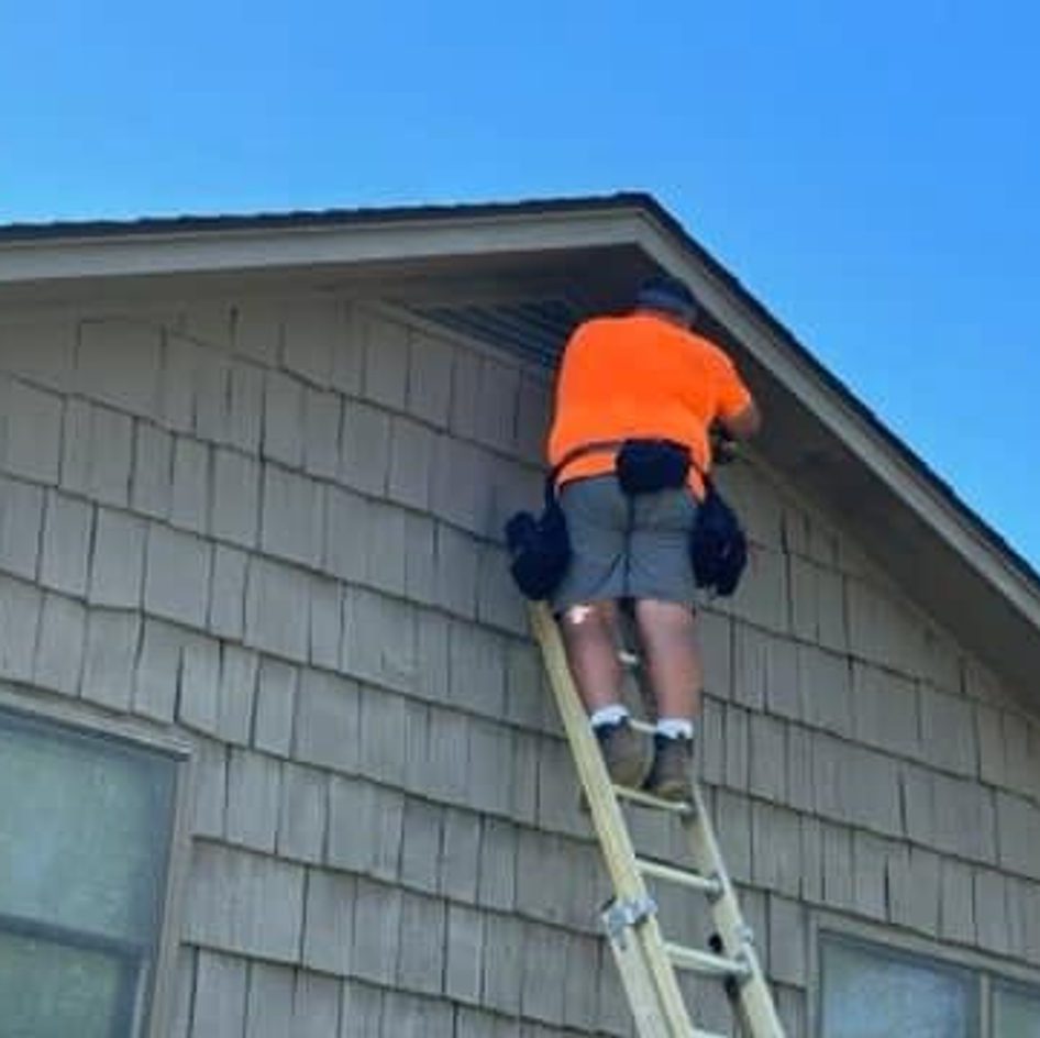 B&B Bat Removal wildlife work photo