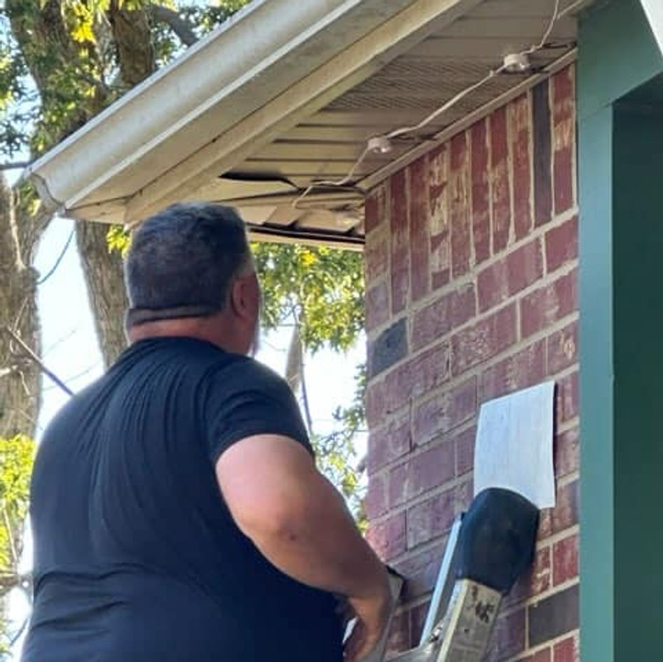 B&B Bat Removal wildlife work photo