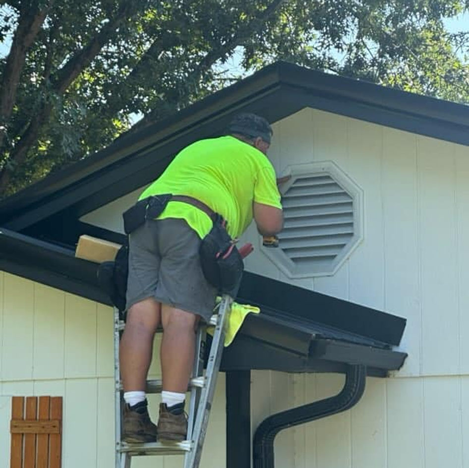 B&B Bat Removal wildlife work photo