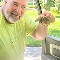 Wildlife control technician inspecting attic for bat entry points
