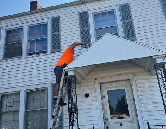 Technician removing bats safely from attic roost