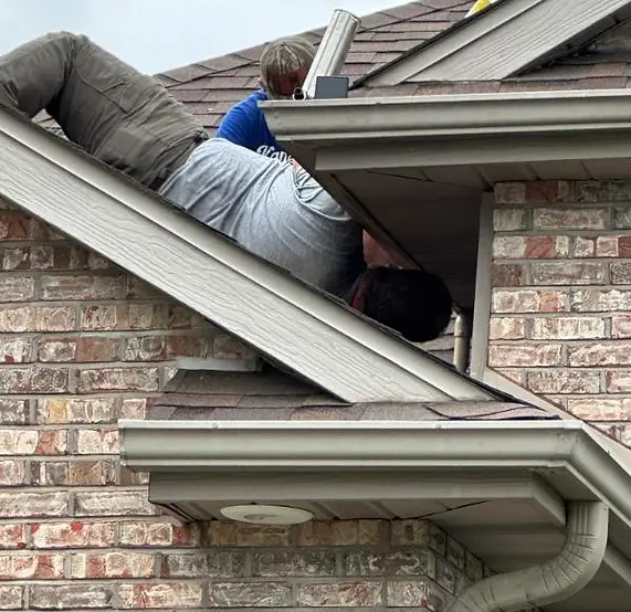 Bird nest removal from house eave with humane wildlife control